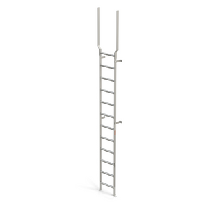 Fixed Vertical Wall and Floor Mount Ladder